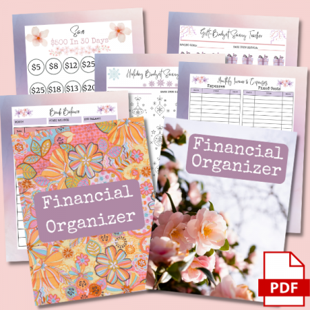 600X600-FinancialOrganizer-IAFH